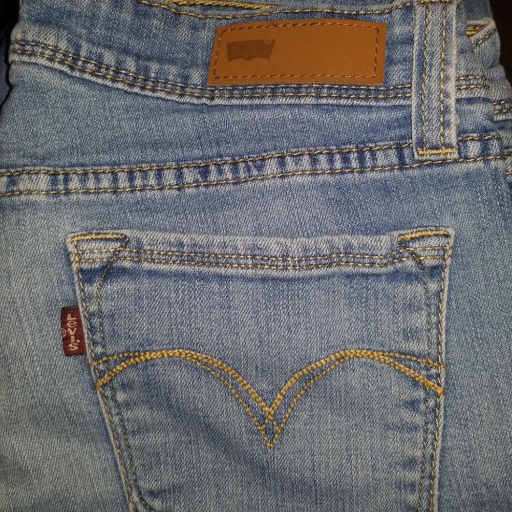 Levis Jeans Demi Curve Low Rise Skinny